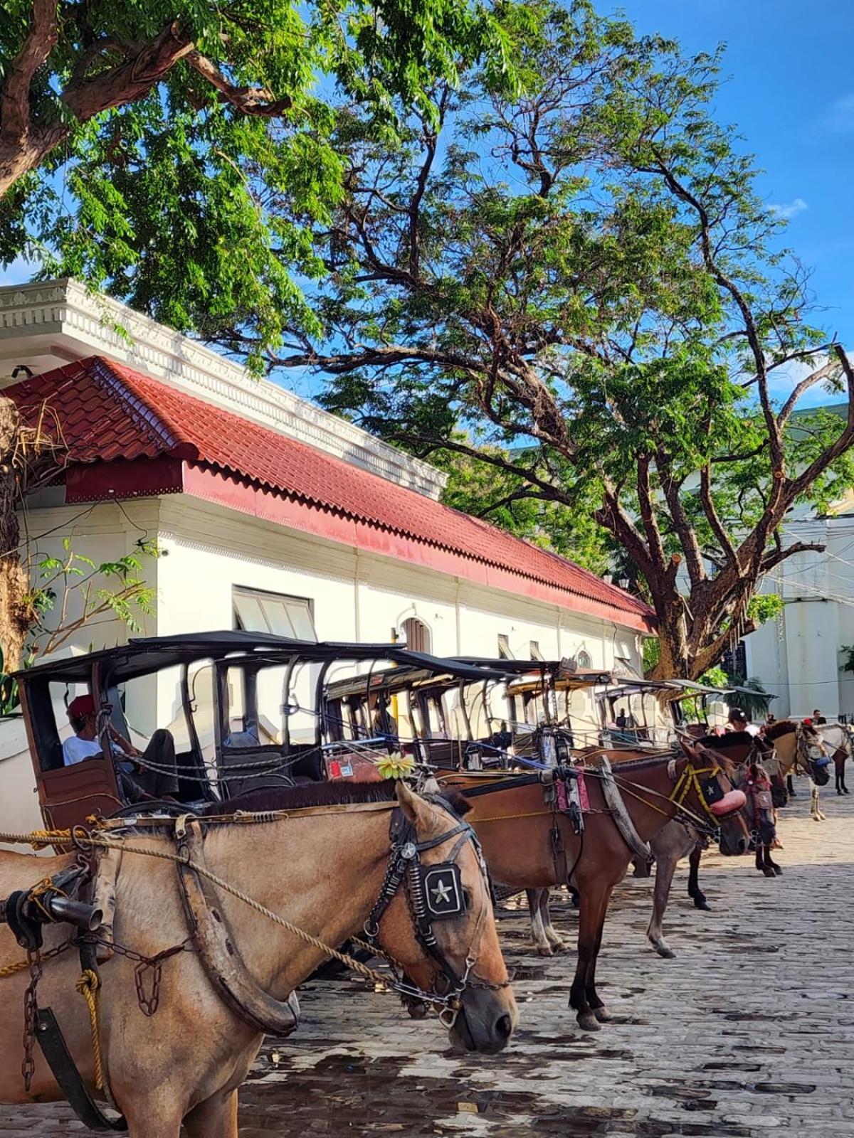 The Orange House - Vigan Villa Ngoại thất bức ảnh